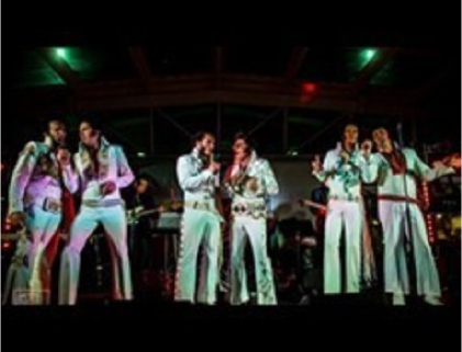 Elvis Tribute Artists