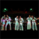 Elvis Tribute Artists