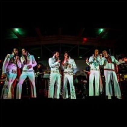 Elvis Tribute Artists