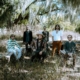 J & The Causeways