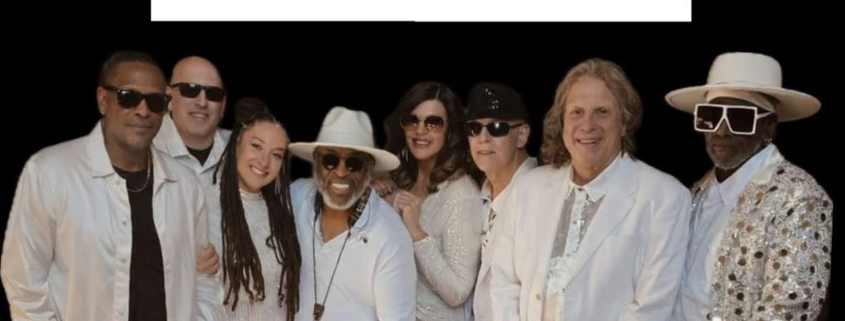The Discoteks